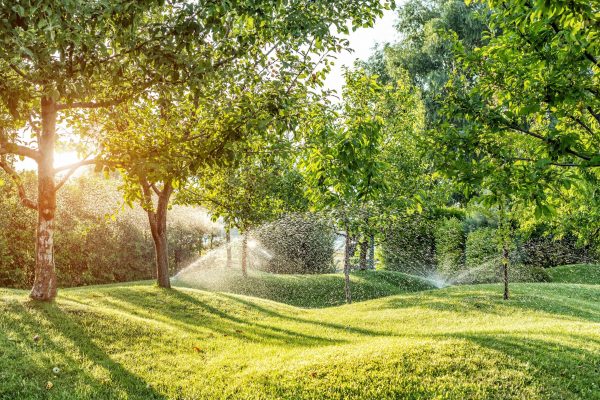 Everyone tends to go into sprinkler panic mode when the first frost hits, but there’s no need to panic about winterizing sprinklers. Here’s why...