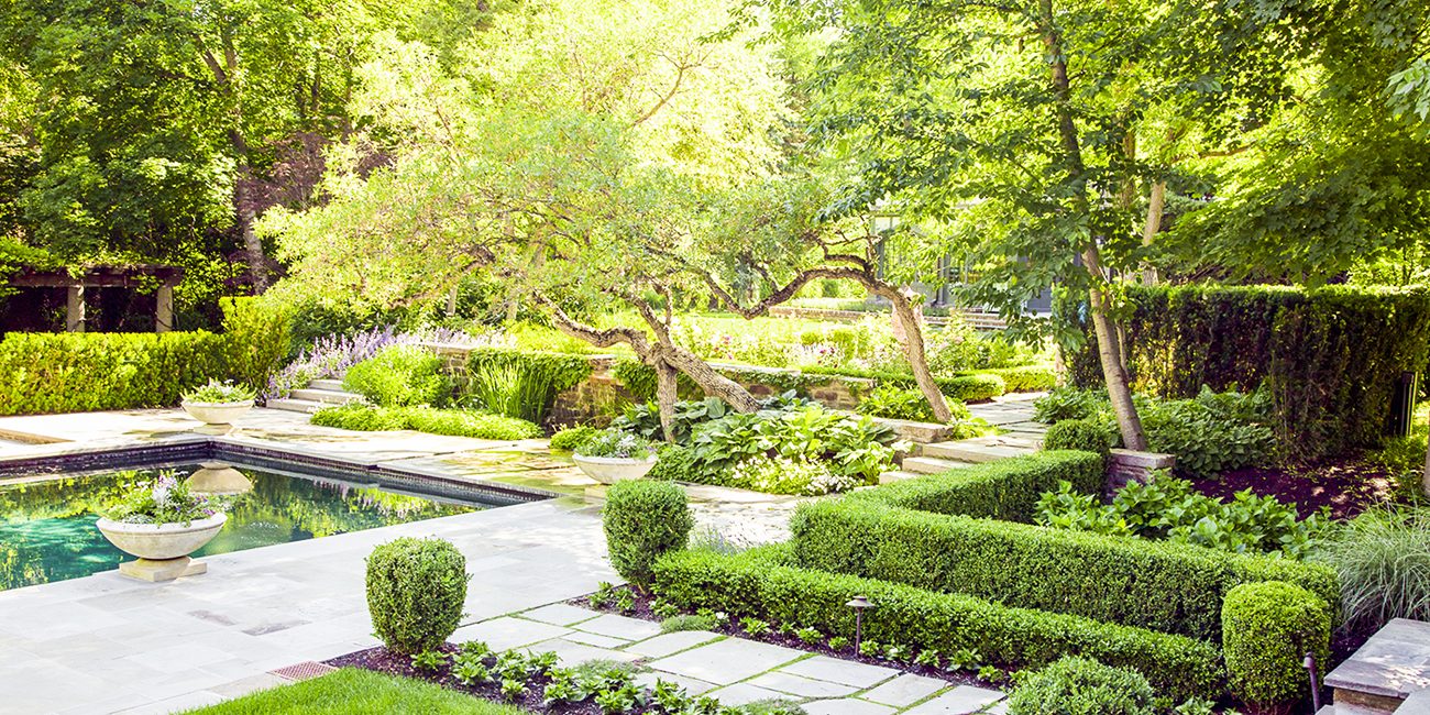 Well manicured bushes can make a difference between a calming and beautiful landscaping and a yard full of chaos. Big Rock Premium Landscaping and Design can help with creating your beautiful landscape and maintaining its beauty.
