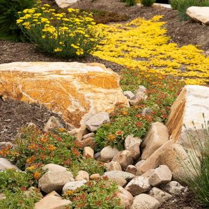 Big Rock Landscaping’s list of services is extensive. But do not mistake its length for lack of depth. Big Rock Landscaping only delivers the highest of standards in each and every one of our diverse landscaping services