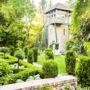 best tall landscaping shrubs for backyard