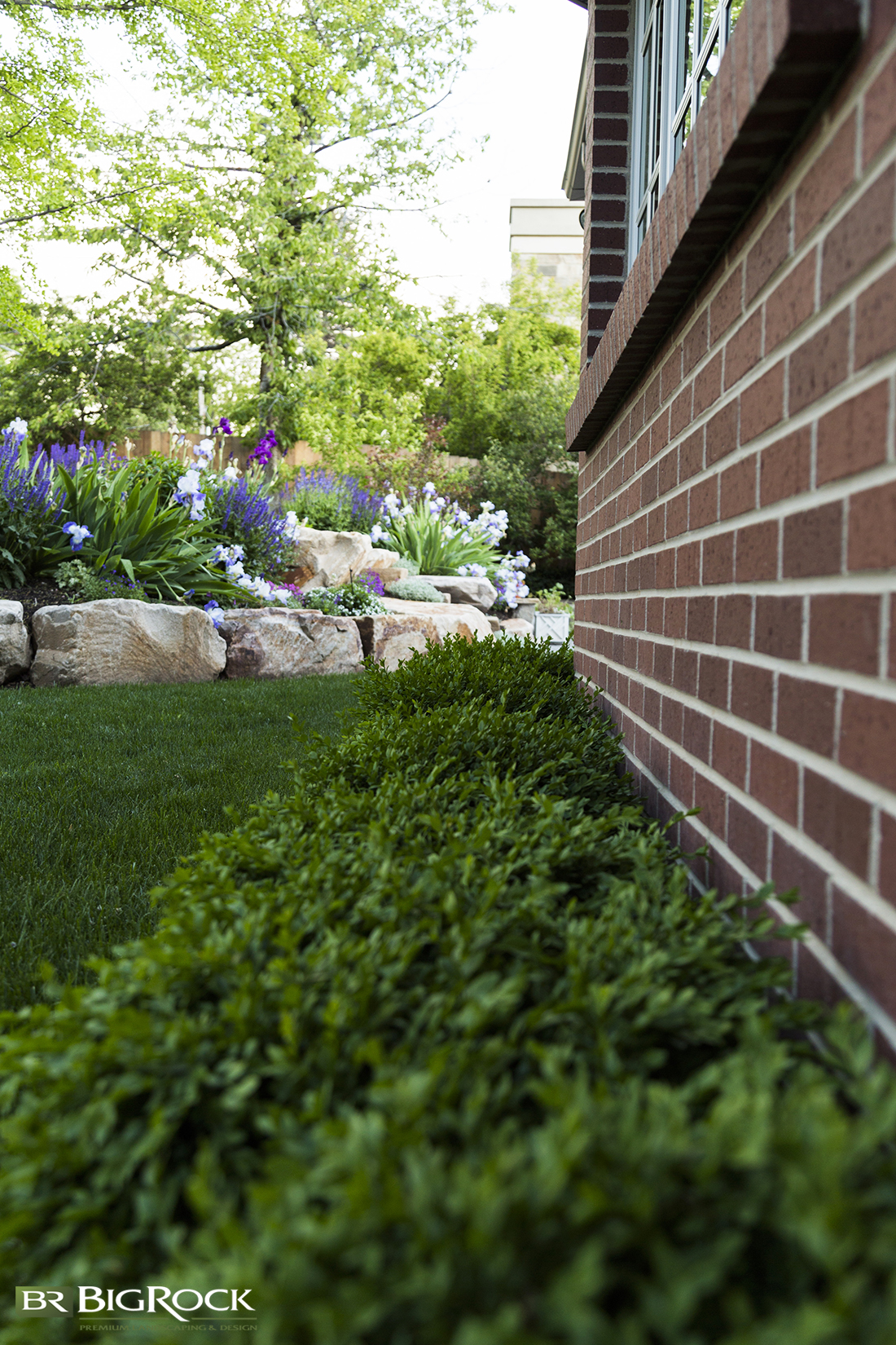 green shrubs to line brick home for landscaping