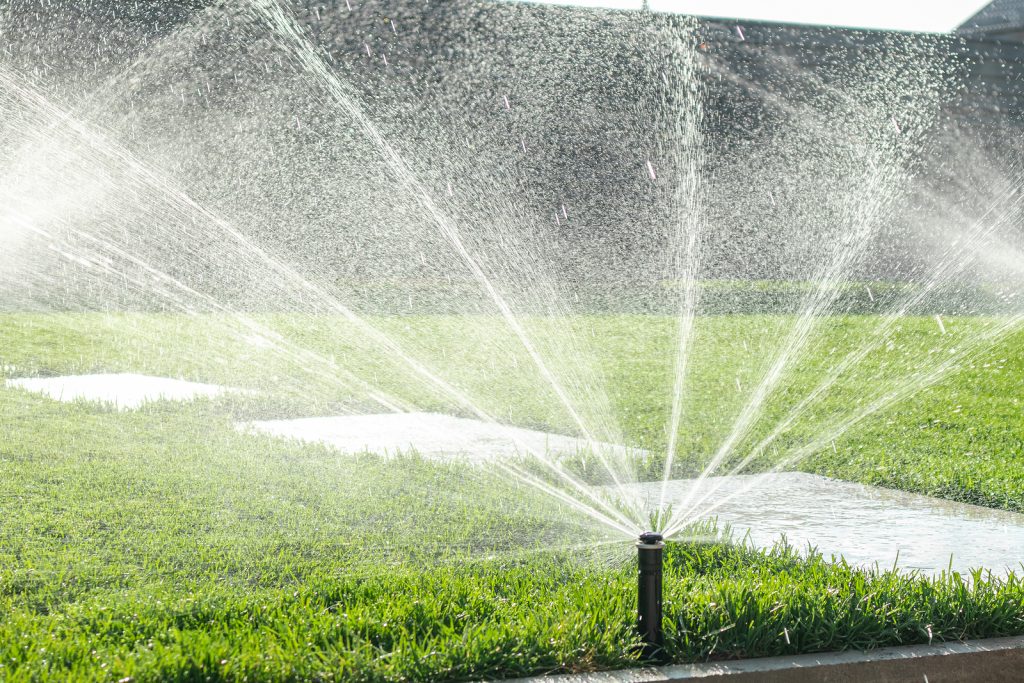 Certain plants need a lot of water to stay healthy, while others are drought resistant.