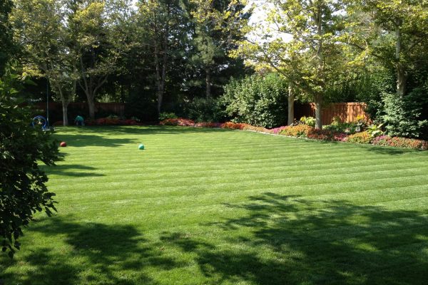 Thinking about starting a backyard landscaping project? From backyard landscaping costs to landscape timelines and our best tips on how to make the process run smoothly from beginning to end, here are your top backyard landscaping questions answered!