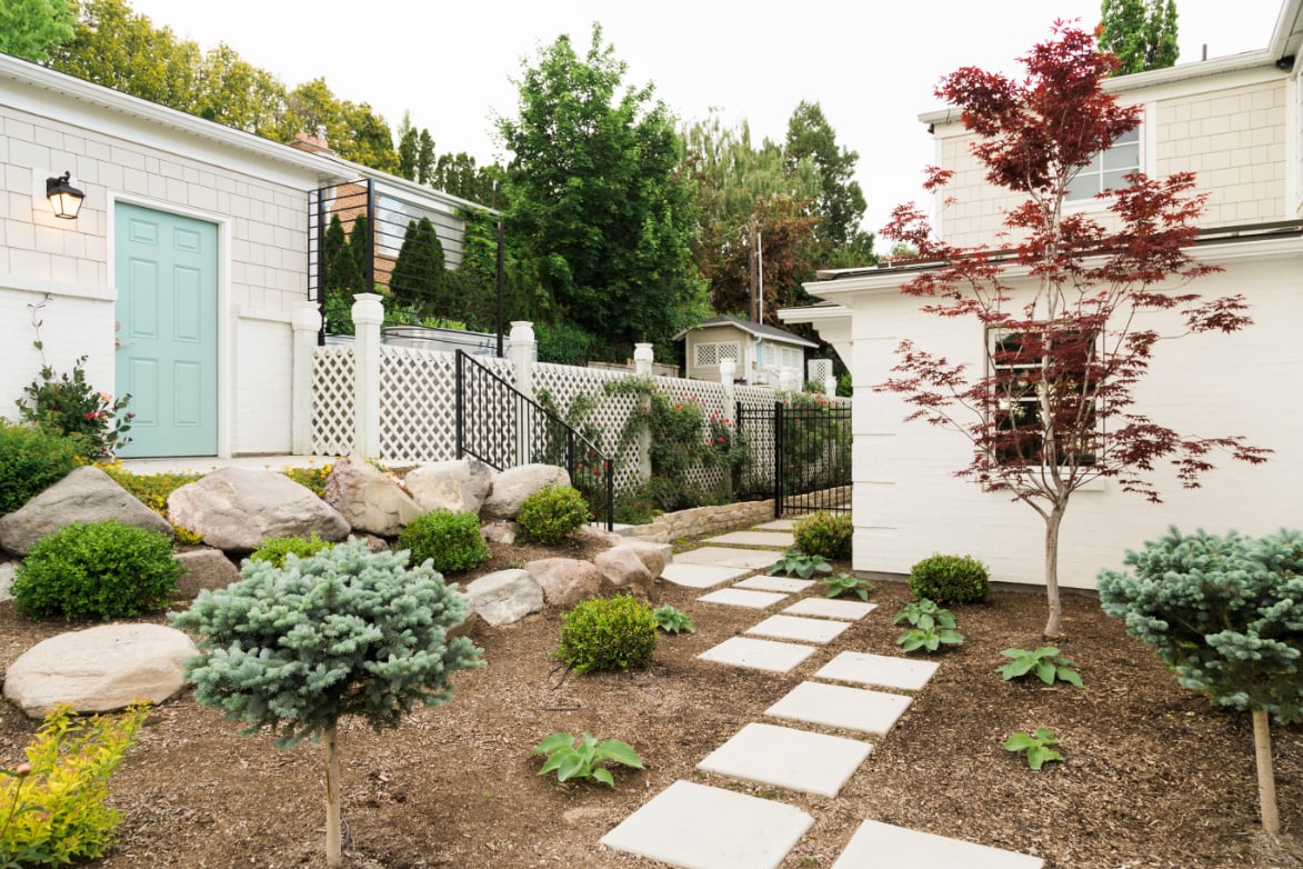 Xeriscaping is a beautiful way to integrate native vegetation while also helping the environment and your wallet.