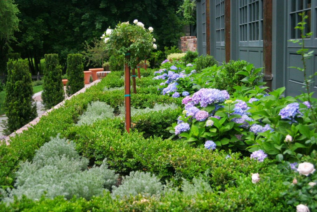 The hydrangeas, lavender, boxwoods, hicks yews, and roses in this lush backyard landscaping are everything you would expect to see in a charming Tudor home’s backyard.