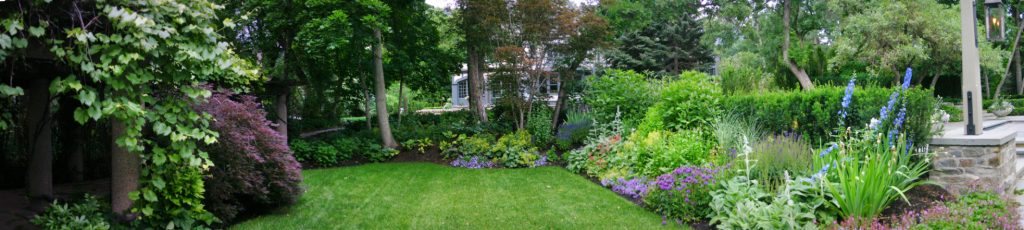 The existing landscaping transitions beautifully into the new in this backyard with a natural English garden feel.