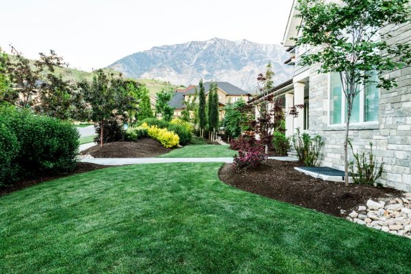 Mulching your yard is a critical step in a full, stunning garden during the spring and summer months. Not only does mulching moderate the temperature of the soil, but it traps water and prevents weeds from overtaking the area