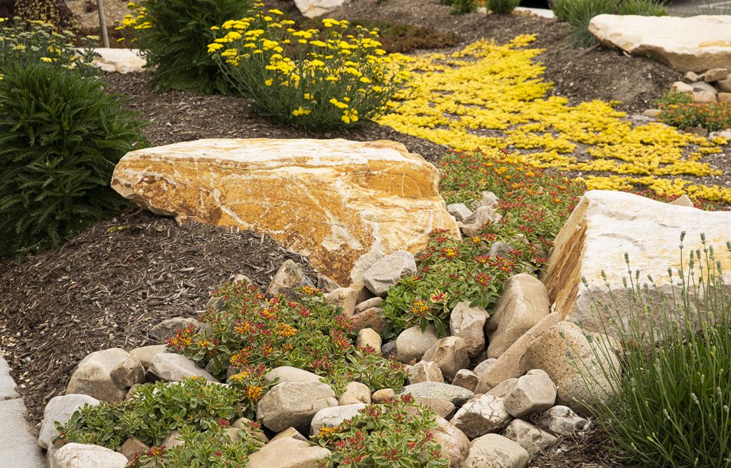 Adding natural elements like boulders or rocks can make your yard feel less formulaic, and can give it a unique look