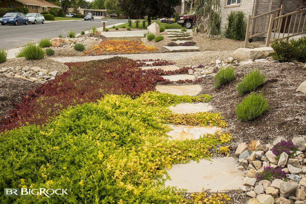 If you can see that, year after year, your landscaping isn’t suited to your particular area, consider replanning a xeriscaped backyard landscape design that is full of beautiful drought tolerant plants and trees that won’t stress under your region’s weather conditions