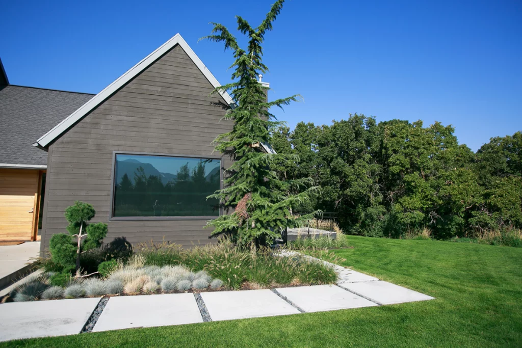 Ornamental grasses, spruces, and blue fescue are great additions to your drought-tolerant front yard landscaping, especially if you want to have some lawn in your front yard.