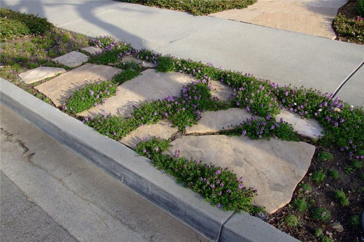 Paver stones have the benefit of being more attractive than cement, but with the distinct advantage of requiring NO water.