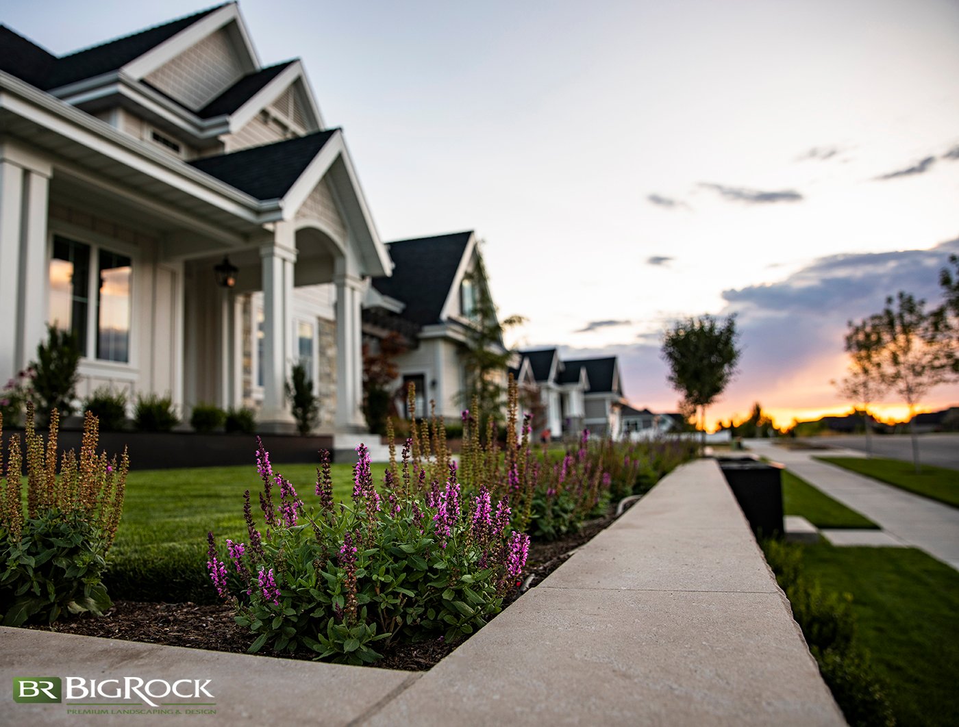 Drought Resistant Plants Utah 