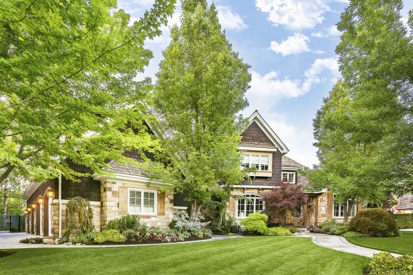 There are many different types of bushes and plants that you can choose from, so how do you know which bushes are right for the front of your house and your property overall?