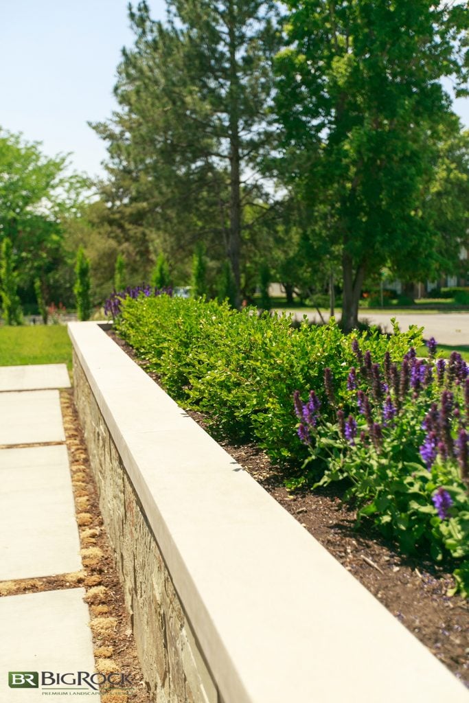 To soften the landscape, we poured concrete slabs with space between to grow grass, and we installed custom planters to fill with colorful plants