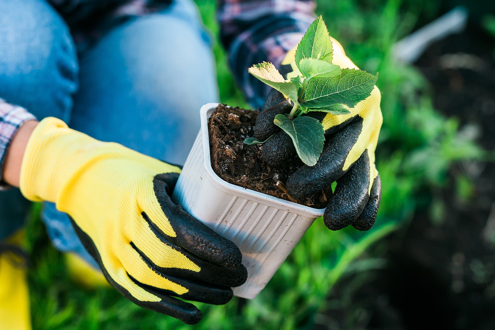 You’ve got landscaping questions, and our team at Big Rock Landscaping has answers. Whether you need help to design an awkward side yard or spruce up the curb appeal of your front yard, we’ve got you covered.