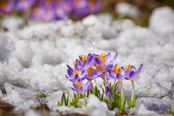 Will your yard flood this spring? Prepare your yard for a flood with these nine tips from the experts at Big Rock Landscaping, and weather Utah’s wild flood season with ease.
