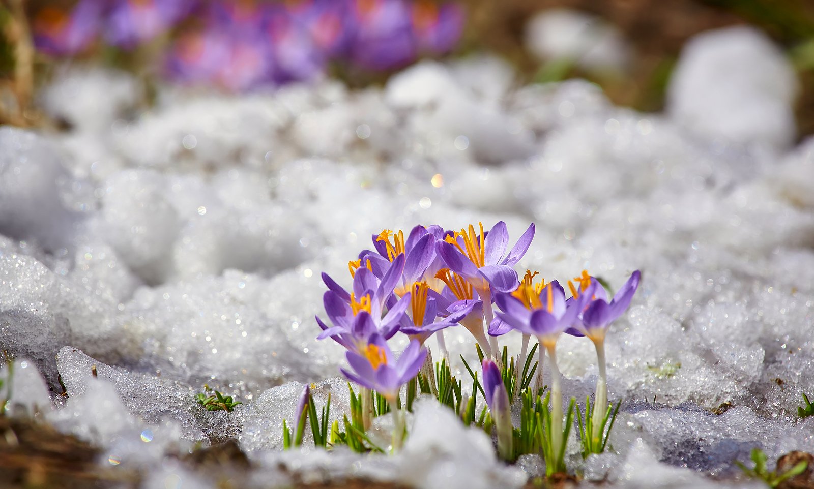 Will your yard flood this spring? Prepare your yard for a flood with these nine tips from the experts at Big Rock Landscaping, and weather Utah’s wild flood season with ease.