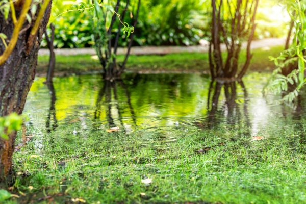 Are you sure your yard is ready for spring runoff in Utah? If you are like most residents, you probably know that flooding can be a problem after an especially wet winter, but you don’t know how to prepare for a flood. Check out our five red flags to see how your yard will do in a flood.