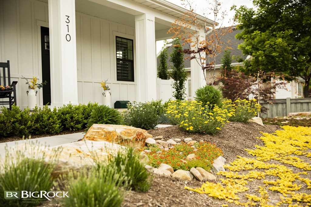 This waterwise yard uses plants and natural elements to create a sparse look that is still well thought out and esthetically pleasing.