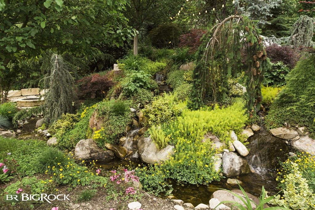 Make no mistake about it, while this hillside looks wild and free, it is actually well-planned and carefully cultivated.