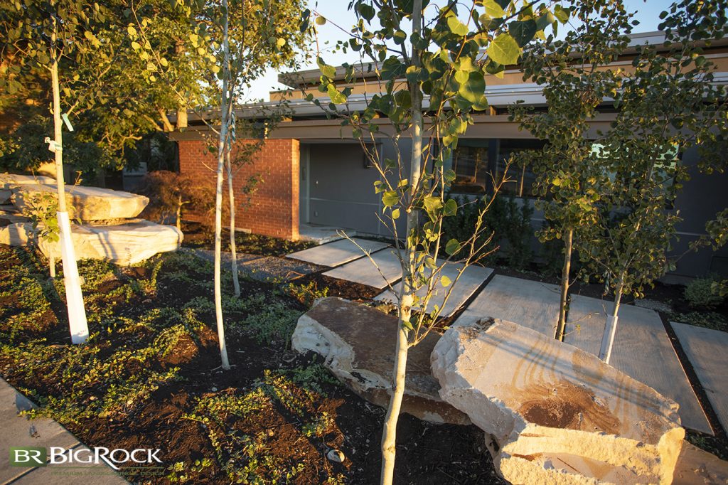 This landscape design does a great job of employing a bit of playfulness in an outdoor space.