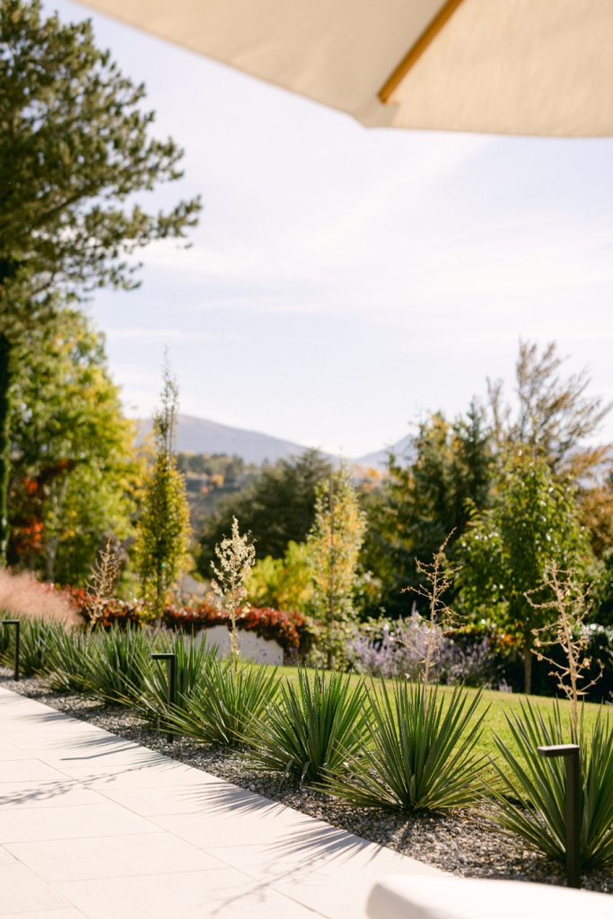 Clean lines, simplicity, and neutral colors are hallmarks of contemporary landscape design, which makes it easy to name yucca as the best bush for contemporary landscapes.