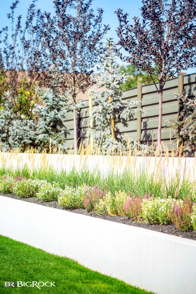 Modern landscape design will incorporate color and texture without taking over the yard. This yard uses purple and white salvia in a pattern to add that pop of color without the space feeling too overwhelming.