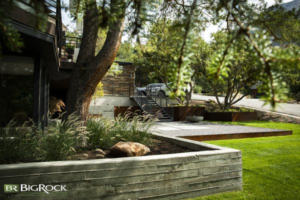 Big Rock Premium Design and Landscaping continues to help thousands of residents choose and install the best trees for Utah landscaping. In this guide, we’ll share our favorite drought-resistant, native, and stunning trees suited for Utah’s desert climate.