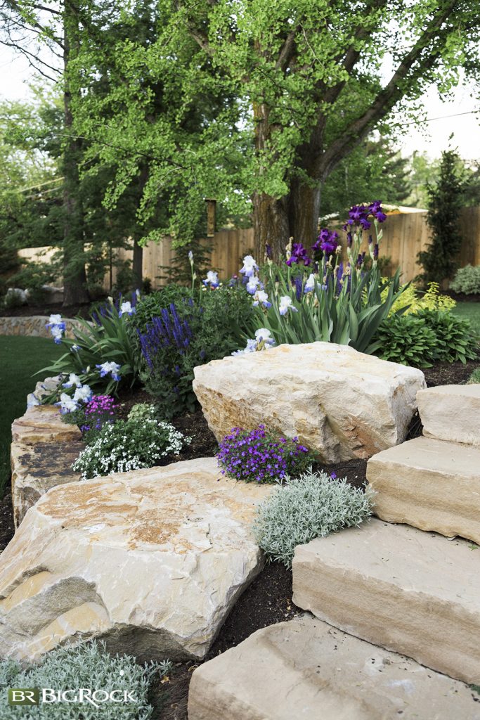 This traditional garden bed features several plants and hardscaping with boulders. With the intention of adding plenty of color to the space, we added iris, geranium, yews, salvia, and lambs ear to the bed.