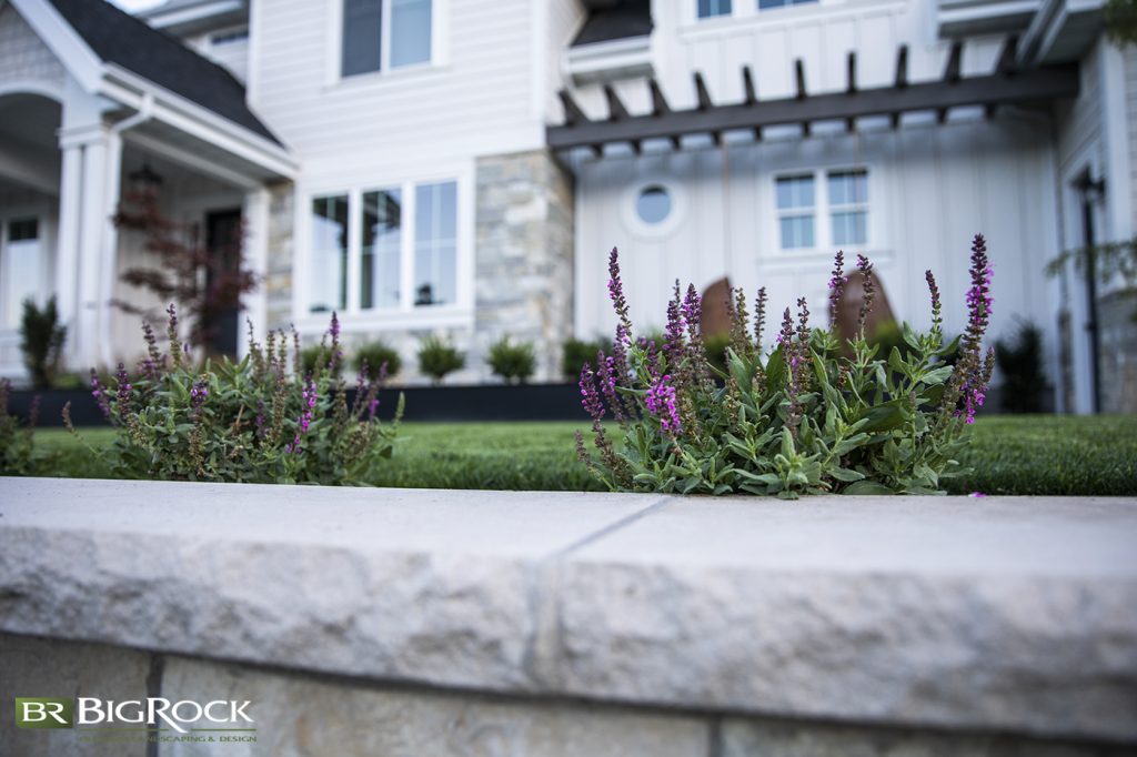 Native to Utah’s mountainous terrain, Salvia is one of our favorite mini bushes to add to a mountain-style landscape design.