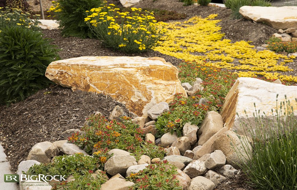 Select perennials and other plants that match the overall look of your yard. For example, a yard with xeriscaping will utilize fewer flowers and more grasses and green ground cover.