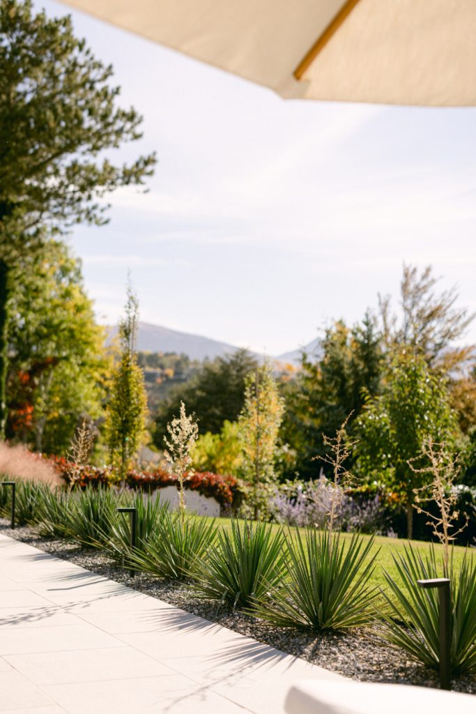 Favorite shrub for Utah landscaping in this style: Yucca