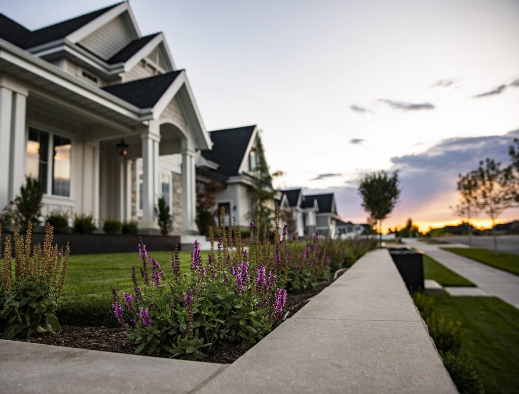 Favorite shrub for Utah landscaping in this style: Salvia