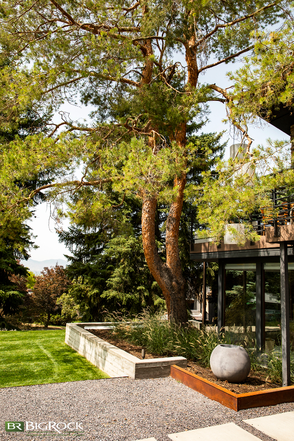 Many who embrace a modern landscape design aesthetic might be tempted to remove mature growth but the example above is your sign to fully embrace it. Using structural features like retaining walls commonly found in modern landscaping can even highlight the natural beauty of older trees while surrounding them with more contemporary flora.