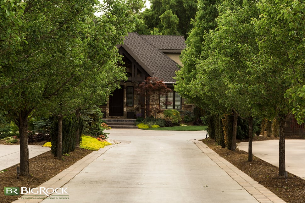 Another use for trees in your Utah landscaping is to create privacy. This drive is lined with trees that not only keep this home tucked away in cozy seclusion but they effectively dampen sound and bring a sense of enchantment to the property it couldn’t get any other way.