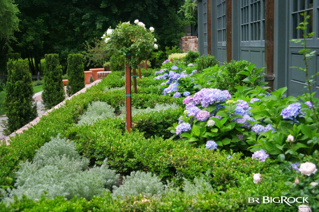 Hydrangeas' bouncing white, blue, and pink blooms are some of the most popular, versatile, and stunning florals you can choose for your yard. These delightful flowers have made something of a reputation for themselves, making Utah’s homeowners believe that they are too difficult to manage in the ever-changing climate.