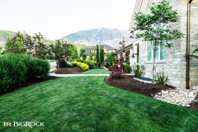 Utah is known for its extremely dry conditions and the potential for drought. With this in mind, it’s vital not to underwater your plants to ensure they don’t dry out.