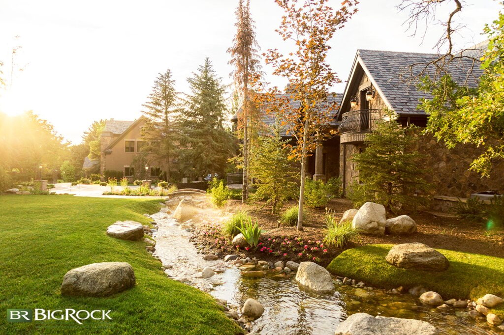 Designing a vibrant Utah landscape starts with choosing the right plants, not only for the region’s climate, but also for your yard’s unique style and conditions.