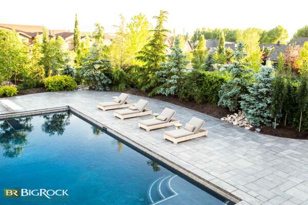 A modern backyard pool surrounded by layered evergreen privacy hedges that create a secluded, high-end outdoor living space in Utah.