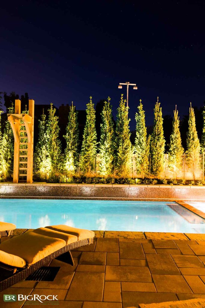 Tall yew shrubs forming a soft, evergreen privacy barrier around a pool, offering wind protection and a natural, enclosed feel.
