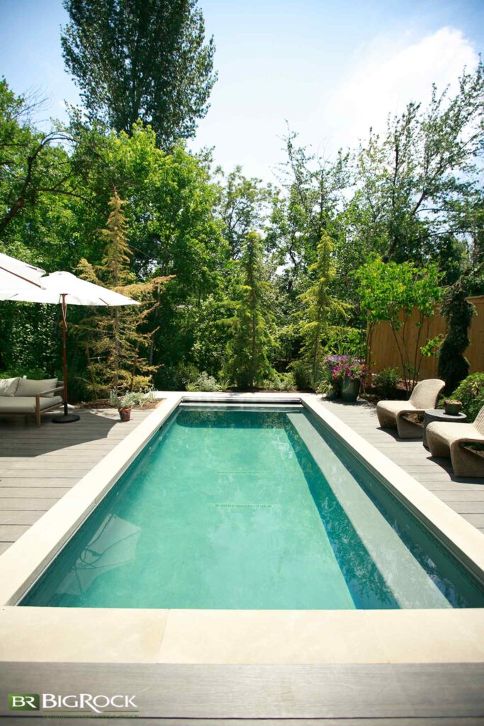 A thoughtfully planned poolside landscape showing proper spacing and placement of privacy shrubs for long-term growth and visual balance.